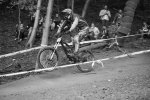 DSC00660.jpg