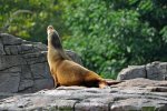 DSC_4730.jpg