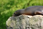 DSC_4735.jpg