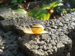 20130810_182151.jpg