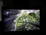 20130925_113951.jpg