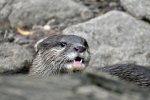 DSC_4821.jpg