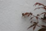 IMG_9755 Kopie.jpg