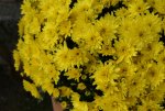 DSC05828.jpg