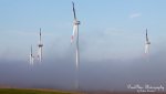 nebel.jpg