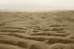 DSC01104 - Kopie.jpg