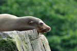 DSC_4859.jpg