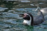 DSC_4924.jpg