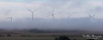nebel_3.jpg