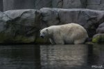 _DSC2943.jpg
