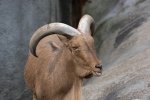 _DSC3164.jpg