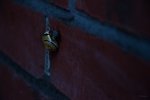 _DSC5589bk.jpg