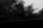_DSC5639bk.jpg