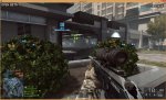 bf43.jpg