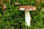 DSC_7716.jpg
