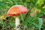 DSC_7717.jpg