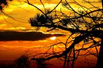 DSC_0253.jpg