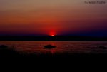 DSC_0419.jpg