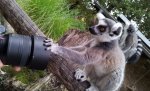 20120929_150910.jpg