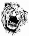 image-4140623681.png