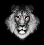 image-309144012.png