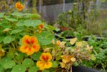 Lumix-G5-Shots-02.jpg