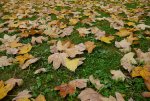 Lumix-G5-Shots-04.jpg