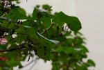 Lumix-G5-Shots-05.jpg