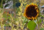 Lumix-G5-Shots-06.jpg