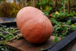 Lumix-G5-Shots-07.jpg