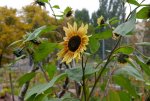 Lumix-G5-Shots-08.jpg