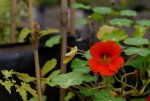 Lumix-G5-Shots-09.jpg