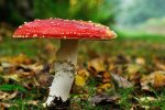 DSC_3510.jpg