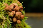 DSC_3577.jpg