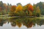 DSC_3586.jpg