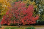 DSC_3602.jpg
