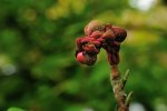 DSC_3620.jpg
