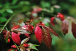 DSC_3648.jpg