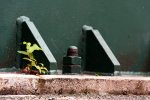 _DSC6008k.jpg