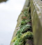_DSC5989k.jpg
