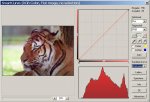 tiger_v1.JPG
