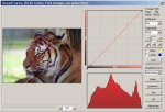 tiger_v2.JPG