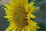 DSC05730_900.jpg