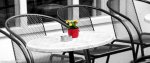 _DSC6028k.jpg