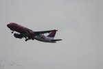IMG_2042.jpg
