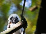 20131022-DSC_0041.jpg