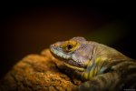 20131022-DSC_0103.jpg