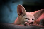 20131022-DSC_0113.jpg