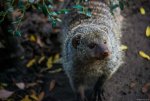 20131022-DSC_0204.jpg