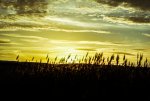 DSC00862.jpg